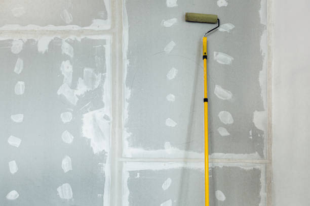 Best Mold Damage Restoration  in Peabody, KS