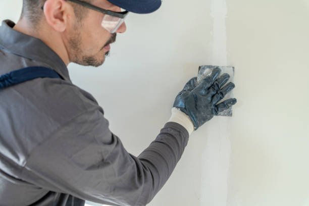 Best Mold Remediation for Healthcare Facilities  in Peabody, KS