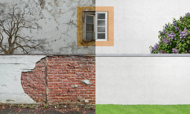 Best Basement Mold Removal  in Peabody, KS