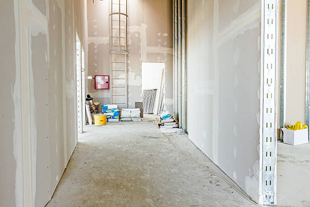 Best Forensic Mold Investigation  in Peabody, KS